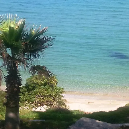 2 Pieces Au Lavandou Avec Parking Proche Plage, Terrasse Vue - Fr-1-251-843 *